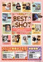 東九州マガジンen.10月号