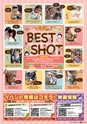 東九州マガジンen.11月号