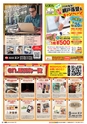 東九州マガジンen.11月号